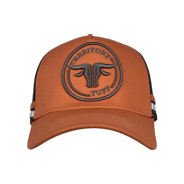 CAP19 5 panel embroidered cap mesh cap trucker hat
