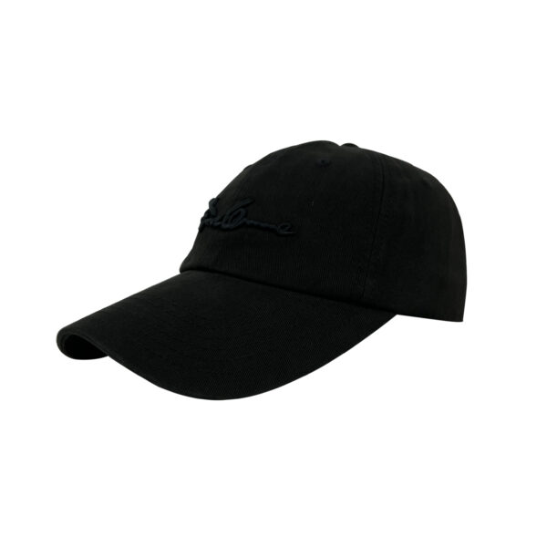 CAP32  6 panel cap 100% Cotton Fashion Hat Customized hat