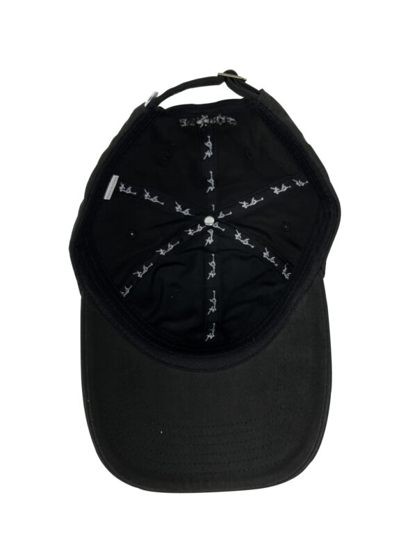 CAP32  6 panel cap 100% Cotton Fashion Hat Customized hat