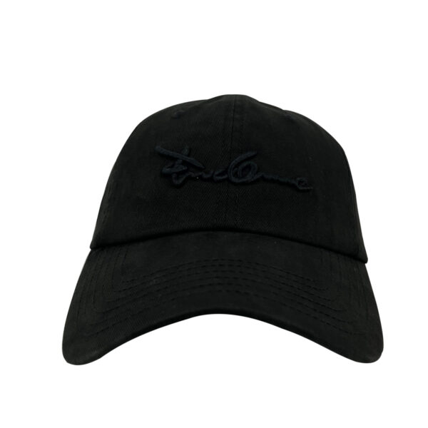 CAP32  6 panel cap 100% Cotton Fashion Hat Customized hat