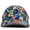 CAP49 Multi-color 6 pannel cap